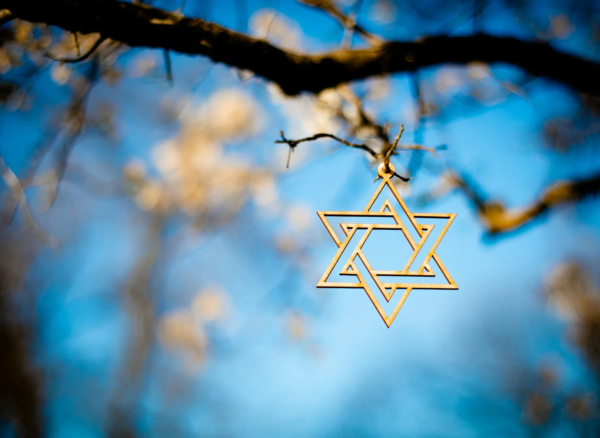 Star of David hanging from a tree branch against a soft blue sky – a meaningful moment captured along our France Jewish tour.